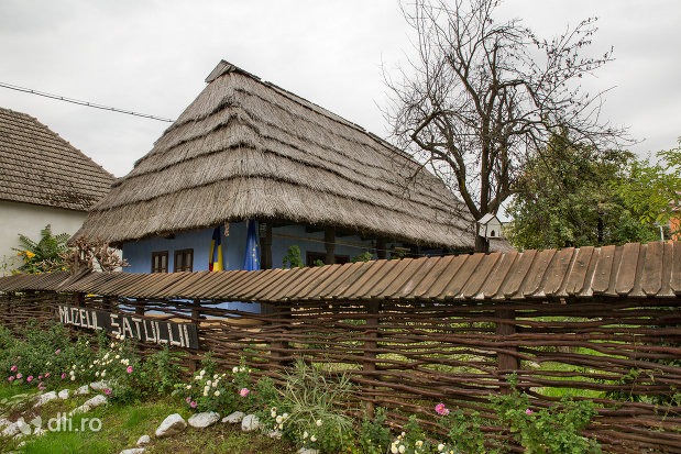 gard-de-nuiele-din-muzeul-satului-din-tautii-magheraus-judetul-maramures.jpg