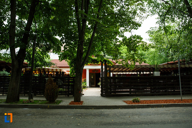 gardul-de-la-casa-anghel-saligny-din-focsani-judetul-vrancea.jpg