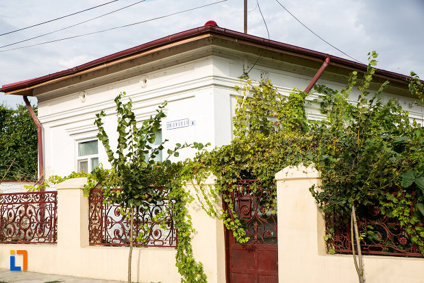 gardul-de-la-casa-din-str-ovidiu-nr-8-din-harsova-judetul-constanta.jpg