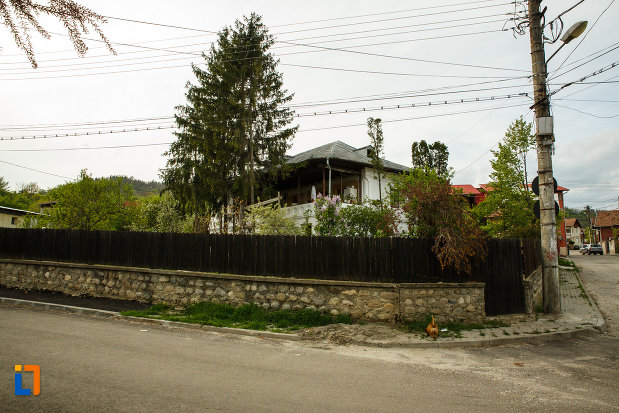 gardul-de-la-casa-miscurici-1860-din-calimanesti-judetul-valcea.jpg