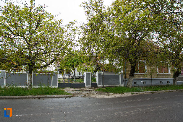gardul-de-la-expozitia-de-arta-populara-iulia-folea-troceanu-buzias-judetul-timis.jpg