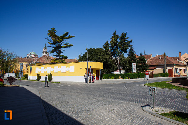 gardul-de-la-muzeul-de-etnografie-si-arta-populara-din-orastie-judetul-hunedoara.jpg