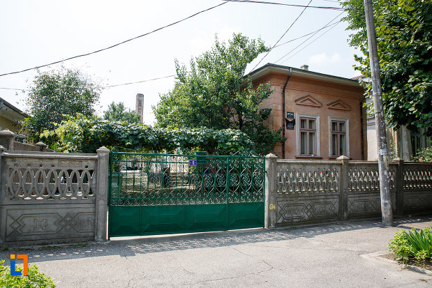 gardul-si-poarta-de-la-casa-nicu-traila-din-rosiorii-de-vede-judetul-teleorman.jpg