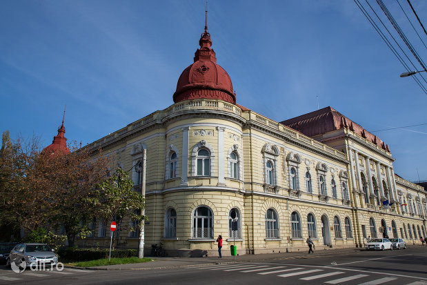 hala-de-comert-azi-universitatea-oradea-facultatea-de-medicina-si-farmacie-judetul-bihor.jpg