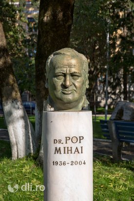 ibscriptia-de-pe-statuia-lui-pop-mihai-din-negresti-oas.jpg