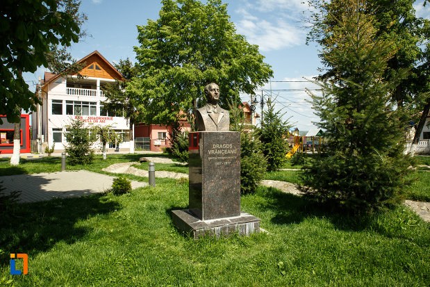 imagine-cu-bustul-lui-dragos-vranceanu-din-babeni-judetul-valcea.jpg