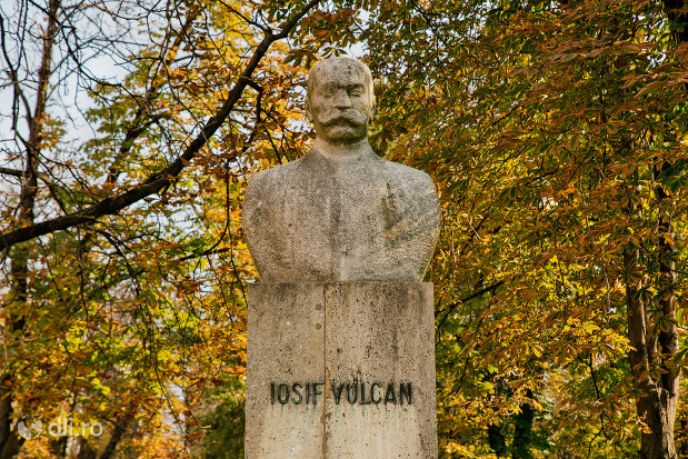 imagine-cu-bustul-lui-iosif-vulcan-din-oradea-judetul-bihor.jpg