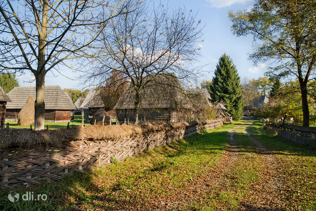 imagine-cu-gospodarie-din-muzeul-satului-din-sighetu-marmatiei-judetul-maramures.jpg