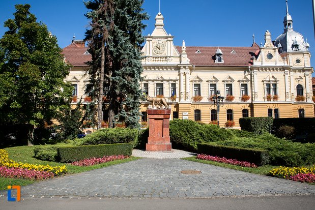 imagine-cu-lupoaica-din-brasov-judetul-brasov.jpg