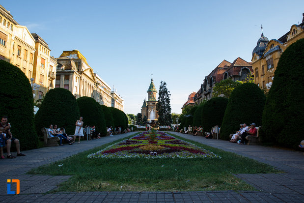 imagine-cu-piata-victoriei-din-timisoara-judetul-timis.jpg