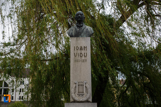 imagine-din-fata-cu-bustul-lui-ioan-vidu-din-lugoj-judetul-timis.jpg