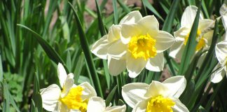 De Paște, prin România!