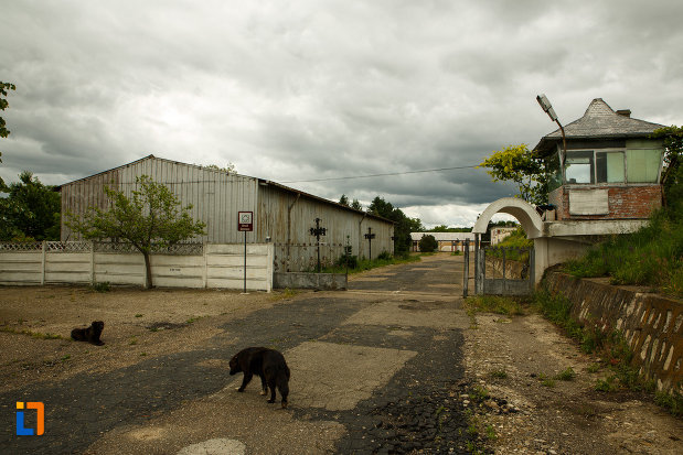 in-drum-spre-beciul-domnesc-din-panciu-judetul-vrancea.jpg