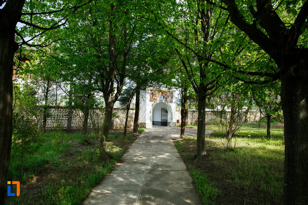 in-drum-spre-schitul-ostrov-calimanesti-judetul-valcea.jpg