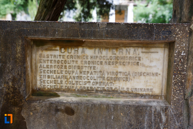 izvorul-mos-buzies-din-buzias-judetul-timis-placuta-cu-bolile-tratate-de-acest-izvor.jpg