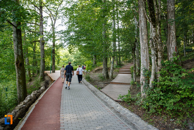 la-plimbare-pe-langa-lacul-ursu-din-sovata-judetul-mures.jpg