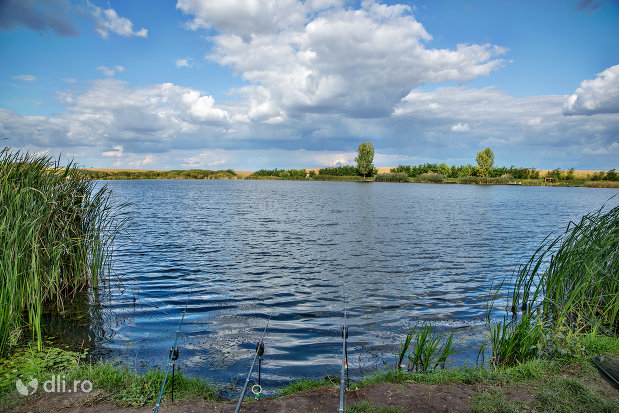 loc-de-pescuit-pe-lacul-ianculesti-judetul-satu-mare.jpg