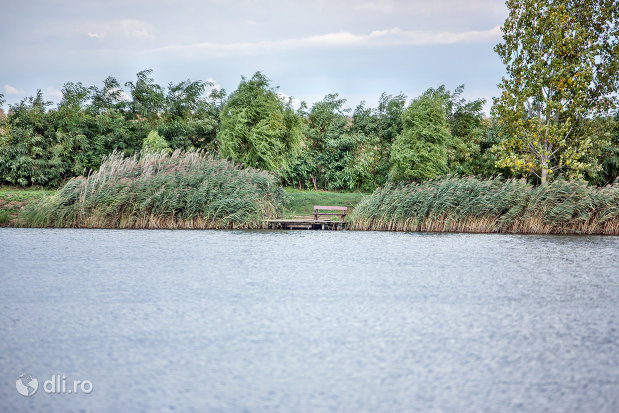 luciu-de-apa-pe-lacul-ianculesti-judetul-satu-mare.jpg