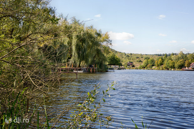 luciu-de-apa-pe-lacul-mujdeni-judetul-satu-mare.jpg