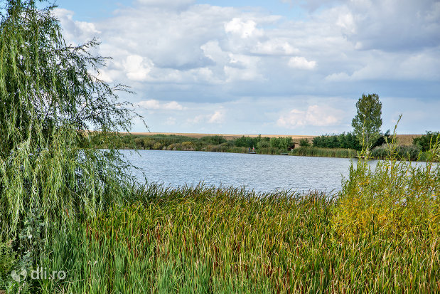 malul-lacului-ianculesti-judetul-satu-mare.jpg