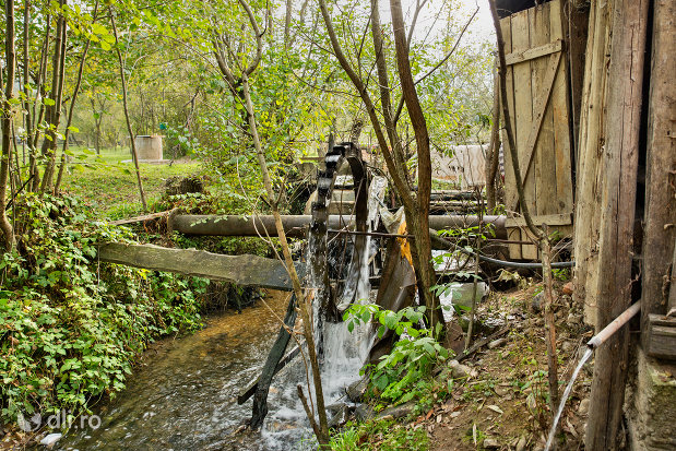 moara-palincarie-si-valtoare-din-sieu-judetul-maramures.jpg