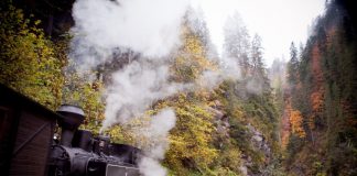 Călător în Maramureș (VIII) – Mocănița de pe Valea Vaserului