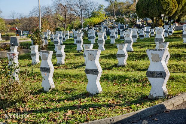 mormintele-din-cimitirul-eroilor-din-zalau-judetul-salaj.jpg