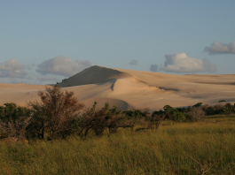 mozambic