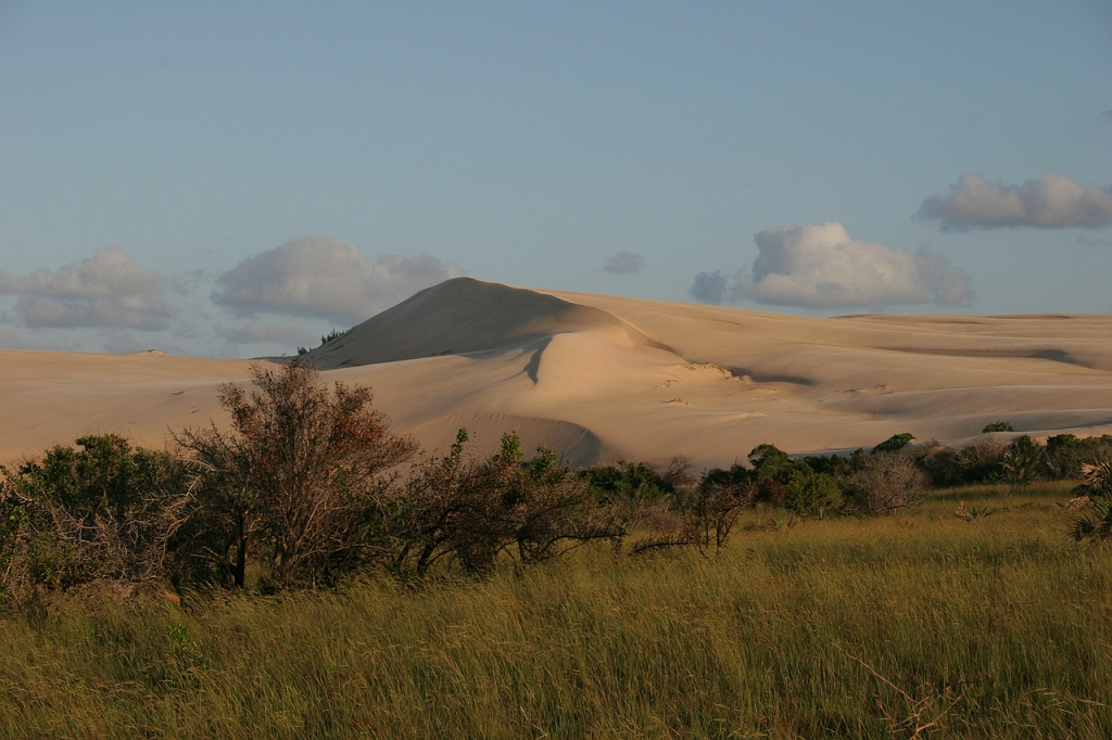 mozambic mozambic