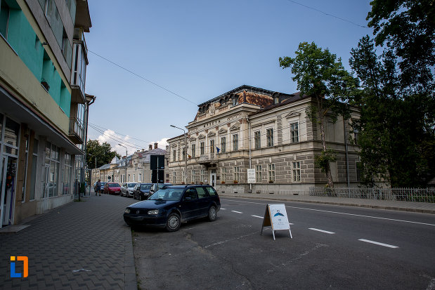 muzeul-arta-lemnului-din-campulung-moldovenesc-judetul-suceava-vazut-din-departare.jpg