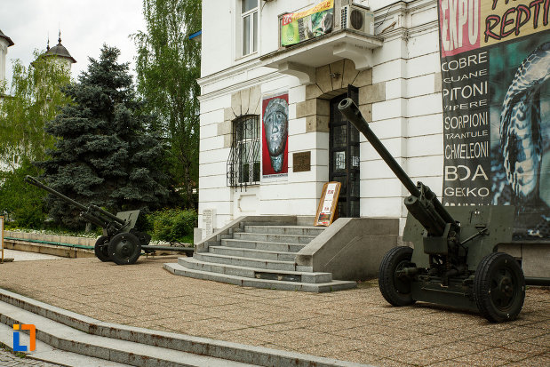 muzeul-de-istorie-din-ramnicu-valcea-judetul-valcea-arma-de-razboi.jpg