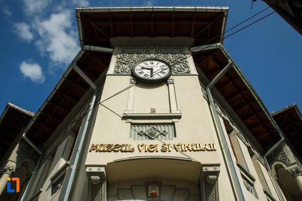 muzeul-podgoriei-muzeul-viei-si-vinului-din-dragasani-judetul-valcea-detalii-decorative.jpg