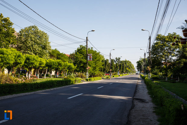 orasul-jimbolia-judetul-timis-drumul-principal.jpg