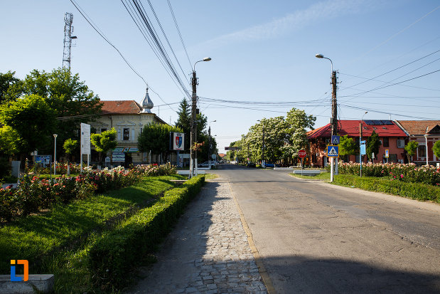 orasul-jimbolia-judetul-timis-sosea-centrala.jpg