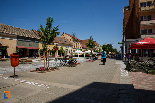 orasul-sannicolau-mare-judetul-timis-promenada-centrala.jpg