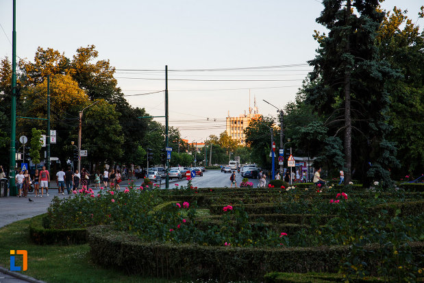 orasul-timisoara-judetul-timis-rondou-cu-flori.jpg