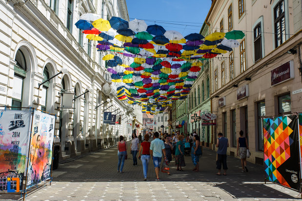 orasul-timisoara-judetul-timis-sub-umbrele-colorate.jpg