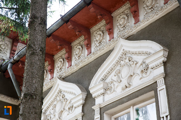 ornamente-de-pe-casa-mamut-1899-din-rosiorii-de-vede-judetul-teleorman.jpg