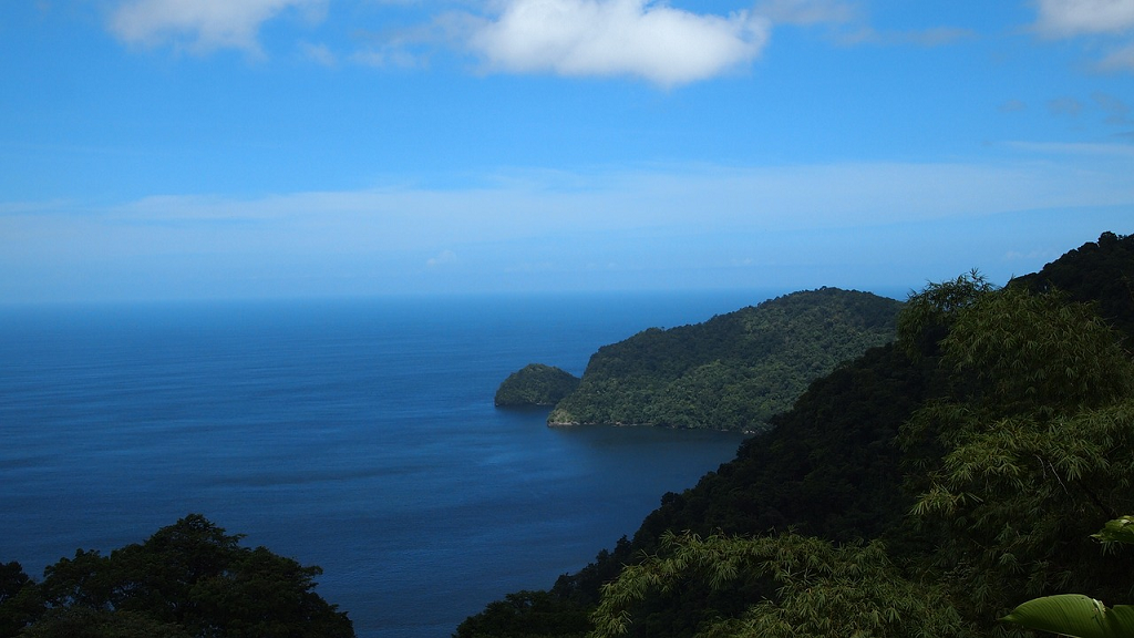 padurea Trinidad Tobago