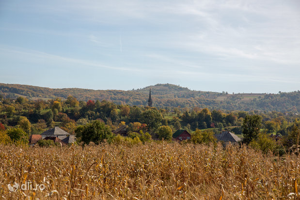 panorama-cu-biserica-de-lemn-din-plopis-judetul-maramures.jpg