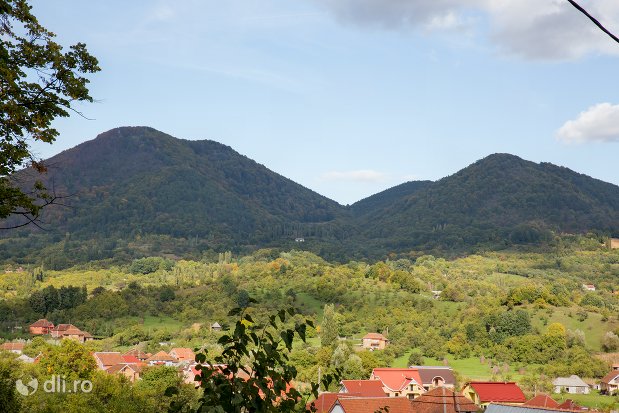 panorama-cu-rezervatia-naturala-tinoavele-din-camarzana-judetul-satu-mare.jpg