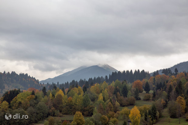 panorama-cu-varful-pietrosu-mare-judetul-maramures.jpg