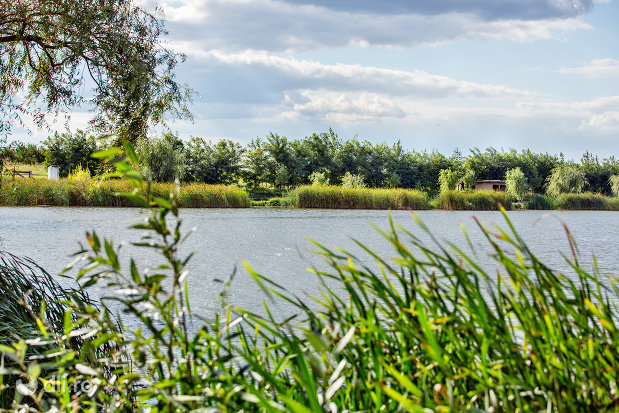 panorama-pe-lacul-ianculesti-judetul-satu-mare.jpg