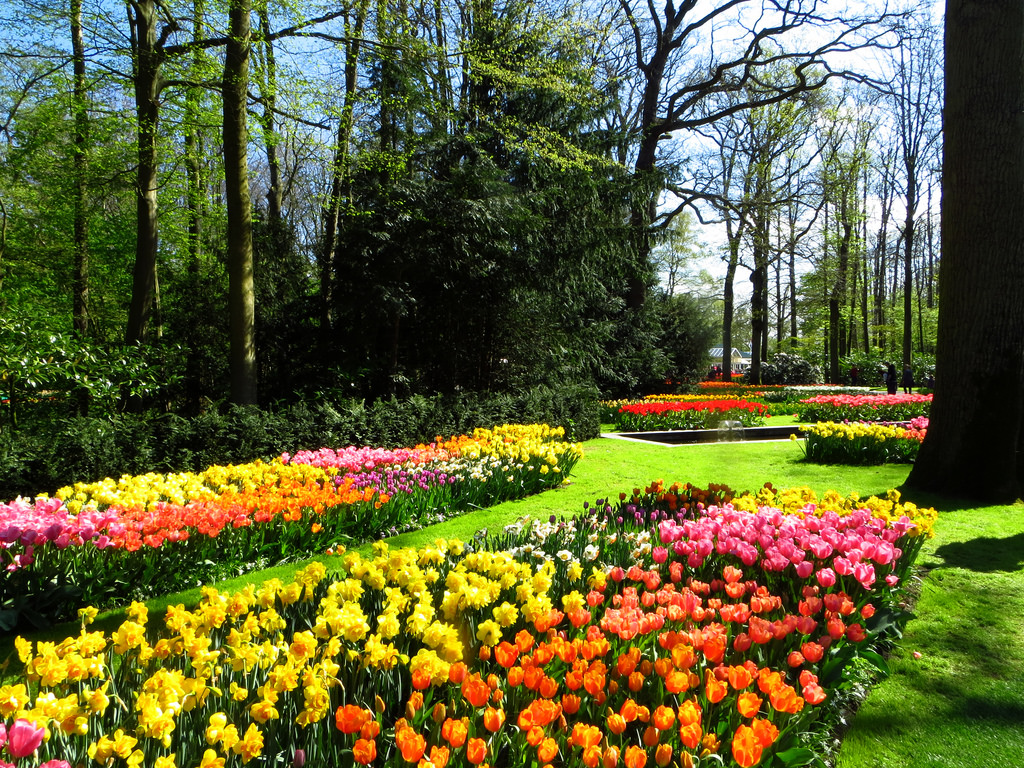 parcul Keukenhof