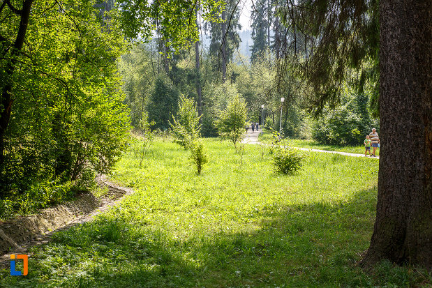 parcul-central-din-orasul-vatra-dornei-judetul-suceava.jpg