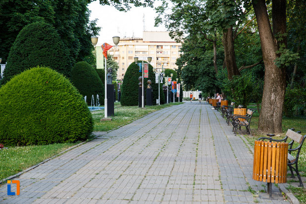 parcul-central-din-timisoara-judetul-timis-alee-cu-banci.jpg