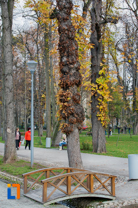 parcul-central-simion-barnitiu-din-cluj-napoca-judetul-cluj.jpg