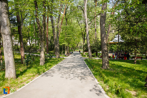 parcul-cetate-din-deva-judetul-hunedoara-imagine-cu-copacii-si-aleile-spatiului-verde.jpg
