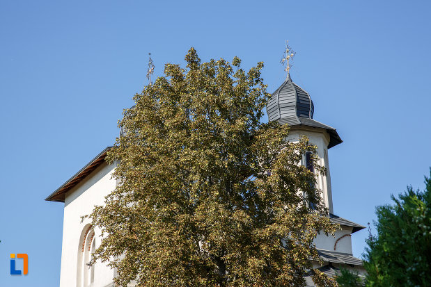 partea-de-sus-de-la-biserica-ortodoxa-din-salcea-judetul-suceava.jpg