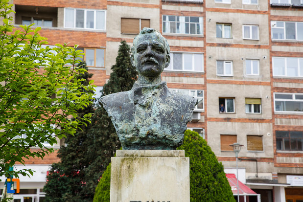 partea-de-sus-de-la-bustul-lui-traian-vuia-din-lugoj-judetul-timis-judetul-timis.jpg